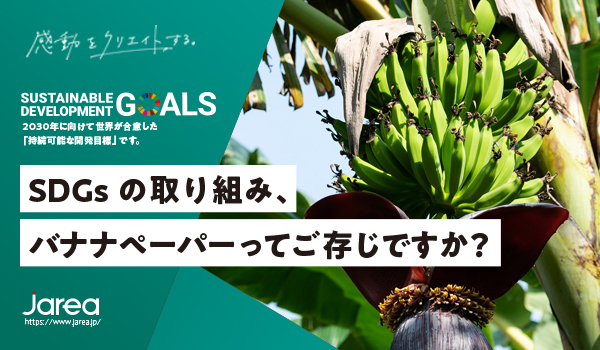 福岡の広告代理店ジャリアのブログ SDGsの企業の取り組み、バナナペーパーとは