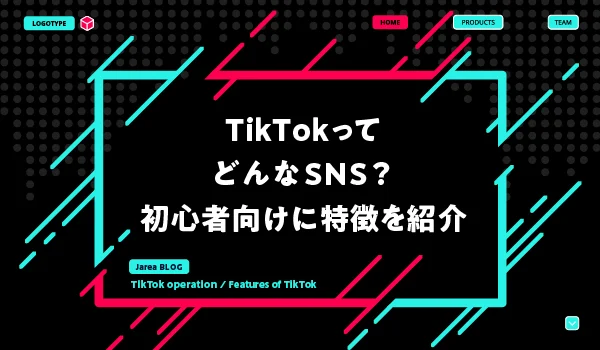 TikTok集客について福岡の広告代理店が解説イメージ