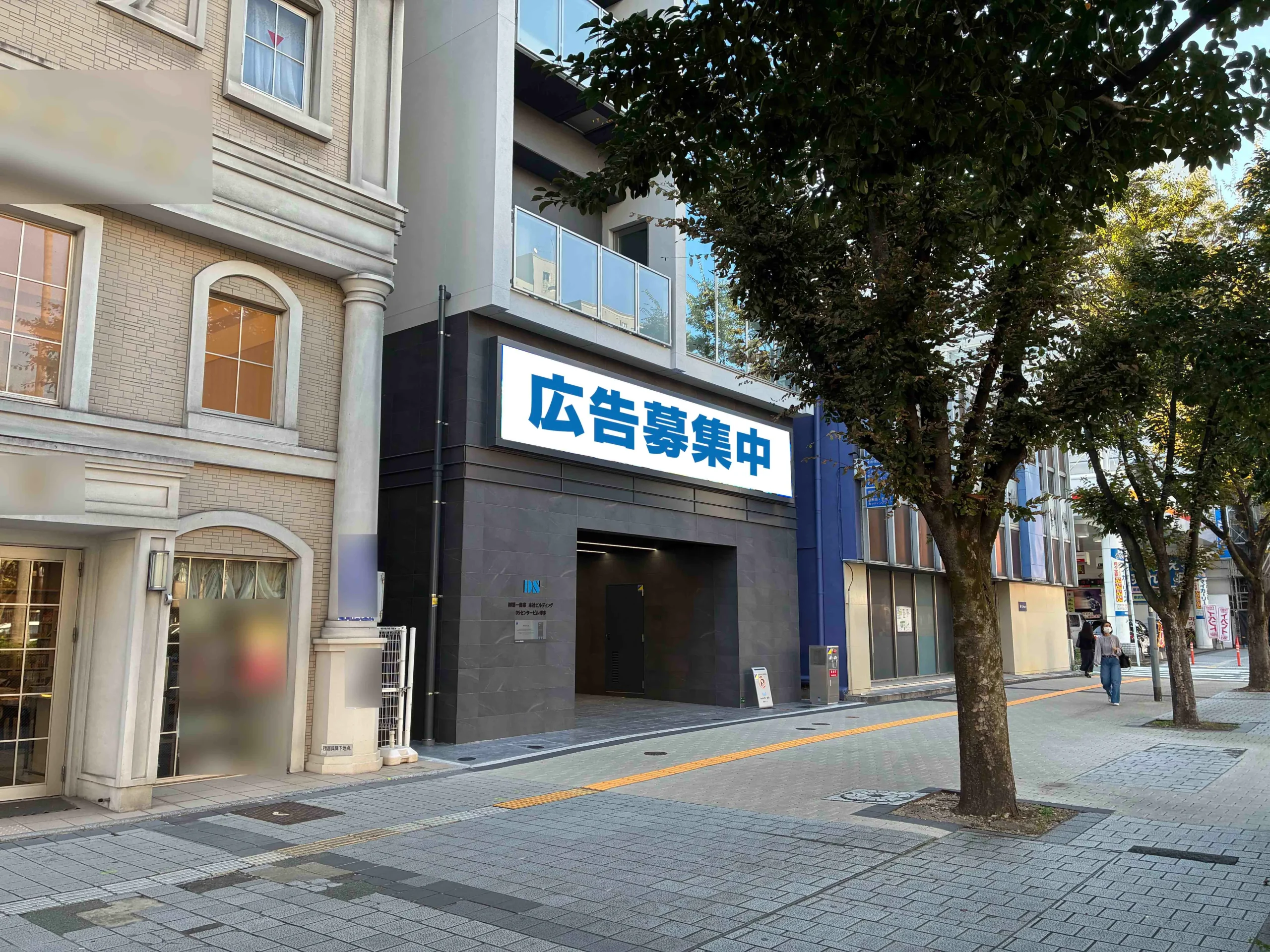 DSセンタービジョン